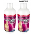 L-Carnitin+Chromium, tekut&yacute; 0,5 l + druh&yacute; ZADARMO